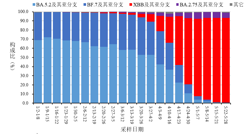 新疆疫情最新動(dòng)態(tài)，自然療愈之旅助力重拾內(nèi)心寧靜與微笑