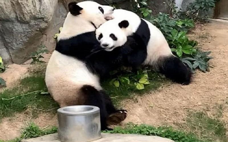 科技引領(lǐng)抗疫新時代，全球最新疫情概況