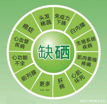 硒鏈最新消息,重磅推出硒鏈，科技新星，引領(lǐng)健康生活新紀(jì)元