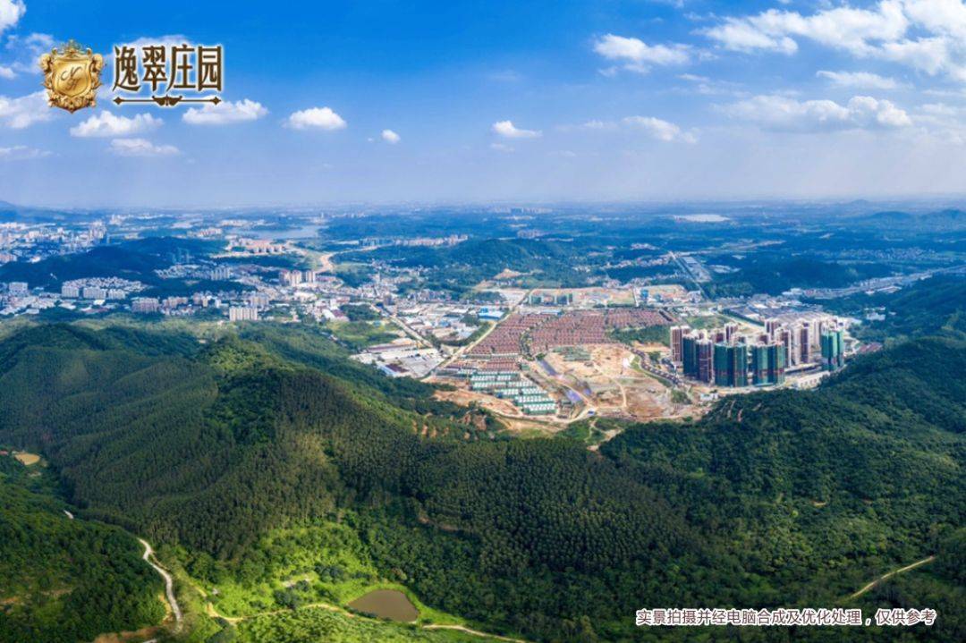 增城潘共恩最新動(dòng)態(tài)揭秘??