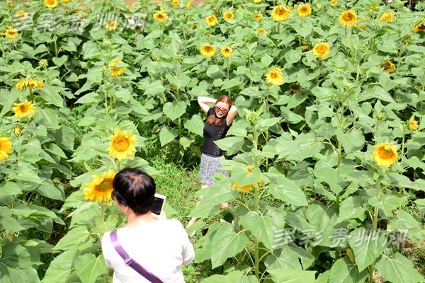 貴州桐梓九壩最新圖片,貴州桐梓九壩最新圖片——科技前沿，重塑生活體驗