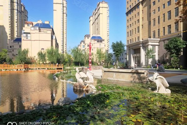慶陽鳳凰大境最新動態(tài)，科技引領生活未來式巔峰發(fā)展之路