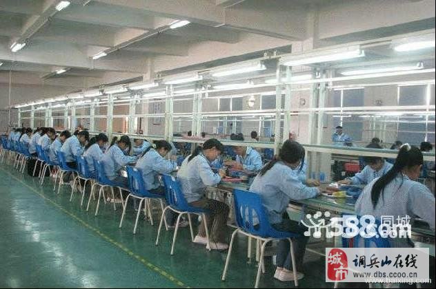 費縣工廠最新招聘信息全面概覽