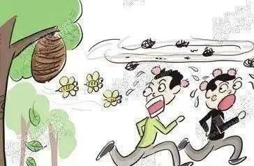 最新摘馬蜂窩視頻,最新摘馬蜂窩視頻，探索自然美景的旅行，尋找內(nèi)心的平和