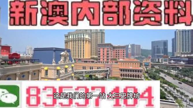 2024新澳正版免費資料的特點,現(xiàn)象分析定義_外觀版16.738