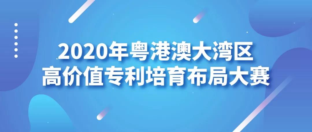 大贏家免費公開資料澳門,高度協(xié)調(diào)實施_水晶版16.882