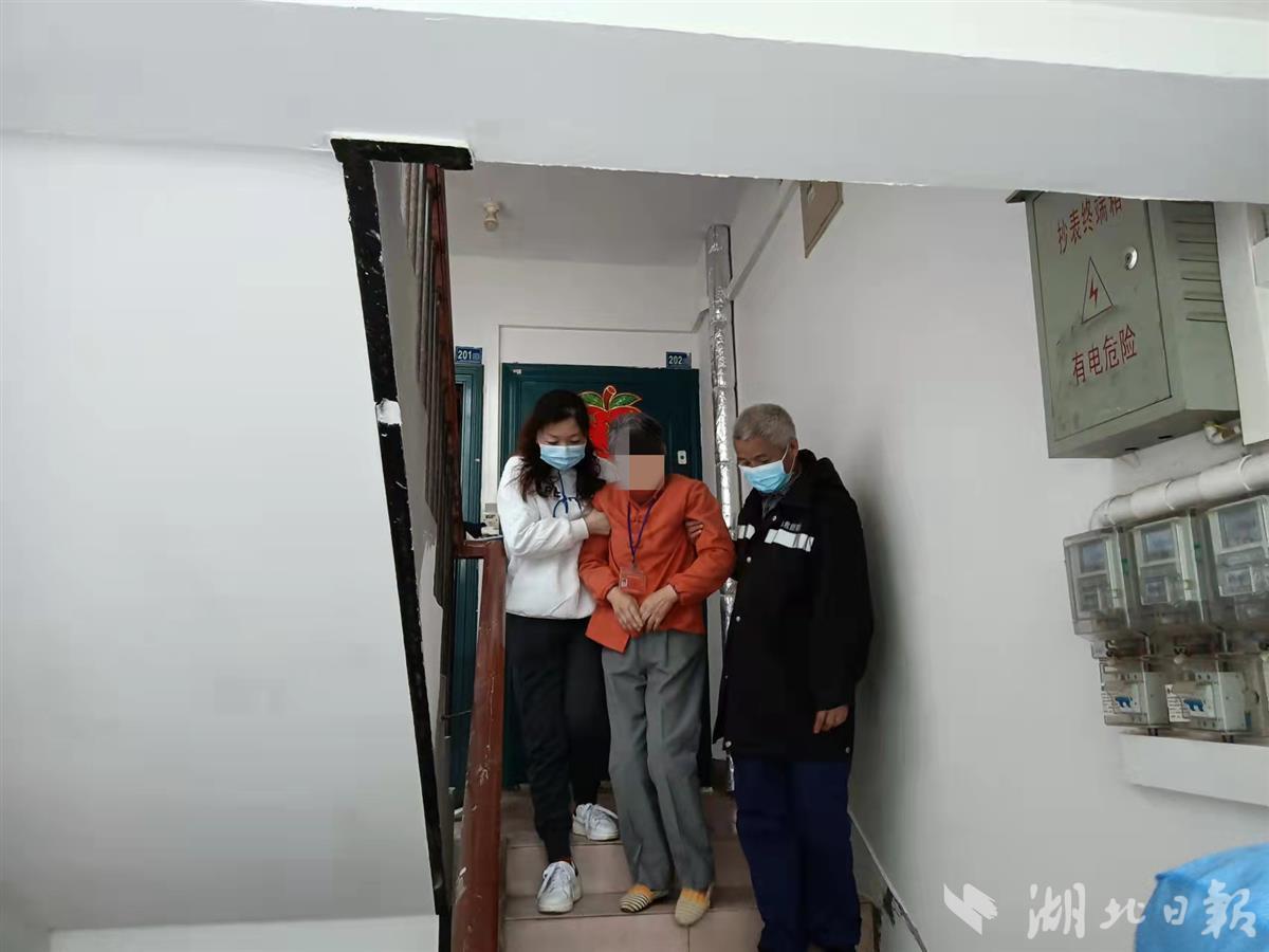 最新洪訊，自然美景探索之旅