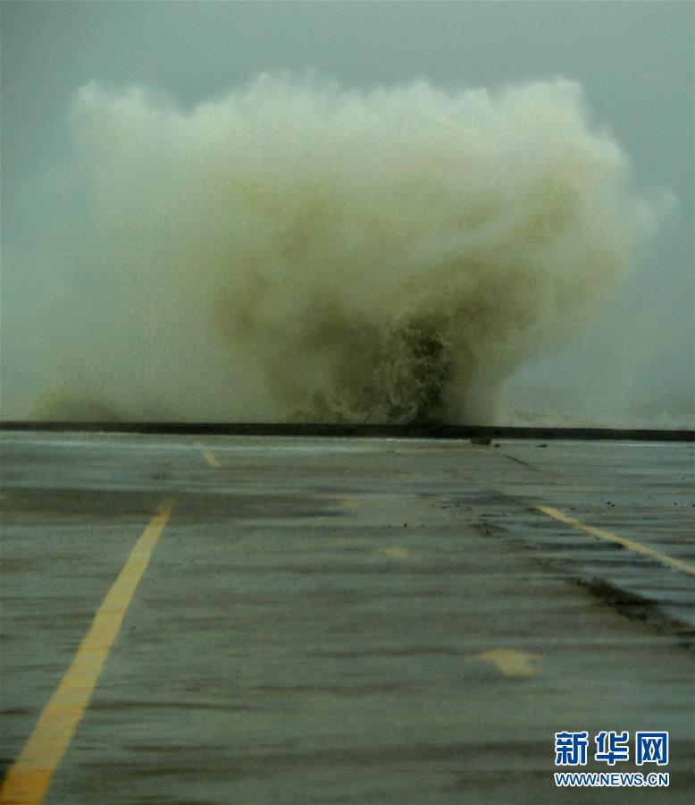 福建臺風“納沙”最新動態(tài),福建臺風納沙最新動態(tài)，多方觀點分析與個人立場