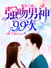 啟明星小說，探尋內(nèi)心平靜的旅程