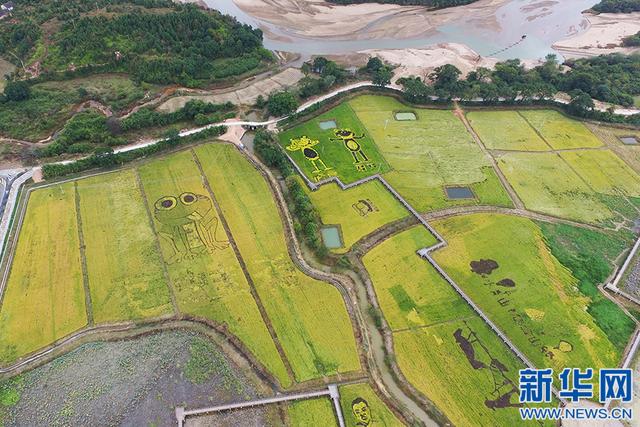 寧都東山壩鎮(zhèn)最新規(guī)劃,寧都東山壩鎮(zhèn)最新規(guī)劃，小巷里的驚喜寶藏