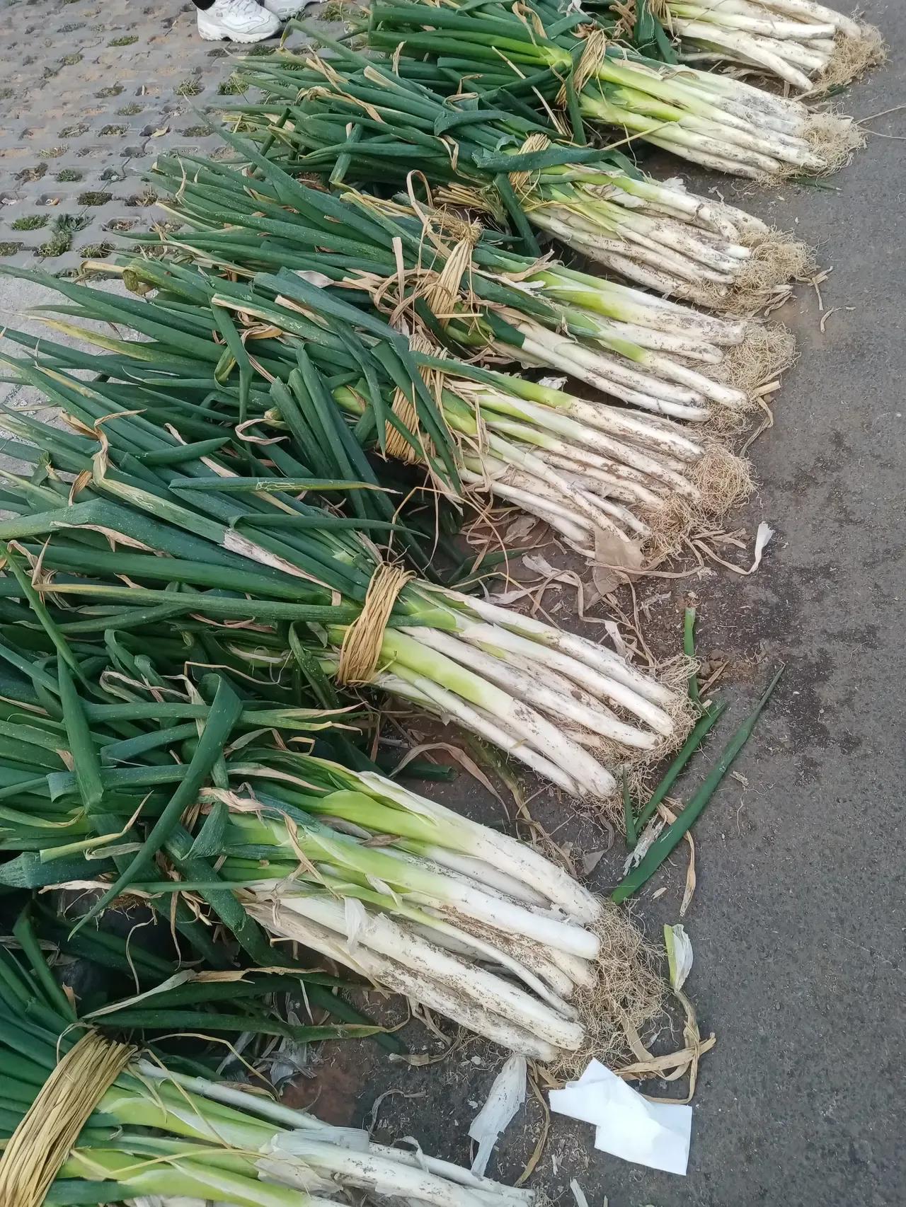 全國大蔥最新價格走勢及趨勢分析??