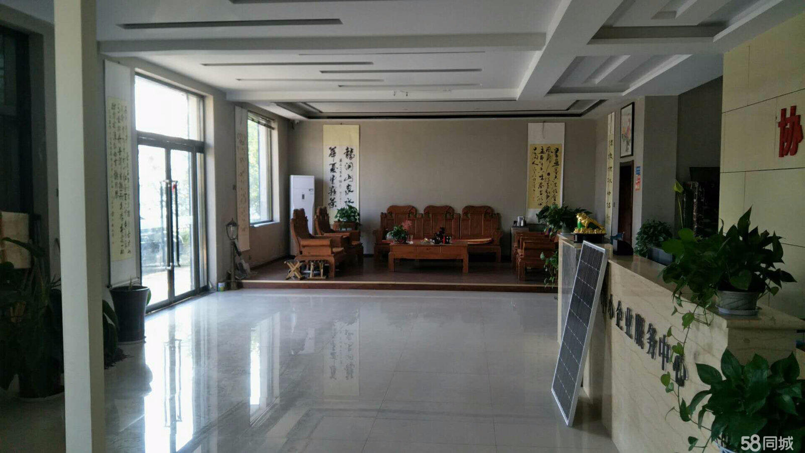 峰峰最新轉(zhuǎn)讓信息詳解，步驟指南與最新動(dòng)態(tài)更新