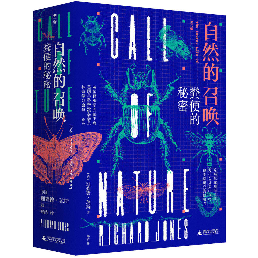 澳門最精準(zhǔn)正最精準(zhǔn)龍門客棧,社會(huì)科學(xué)解讀_動(dòng)感版62.303