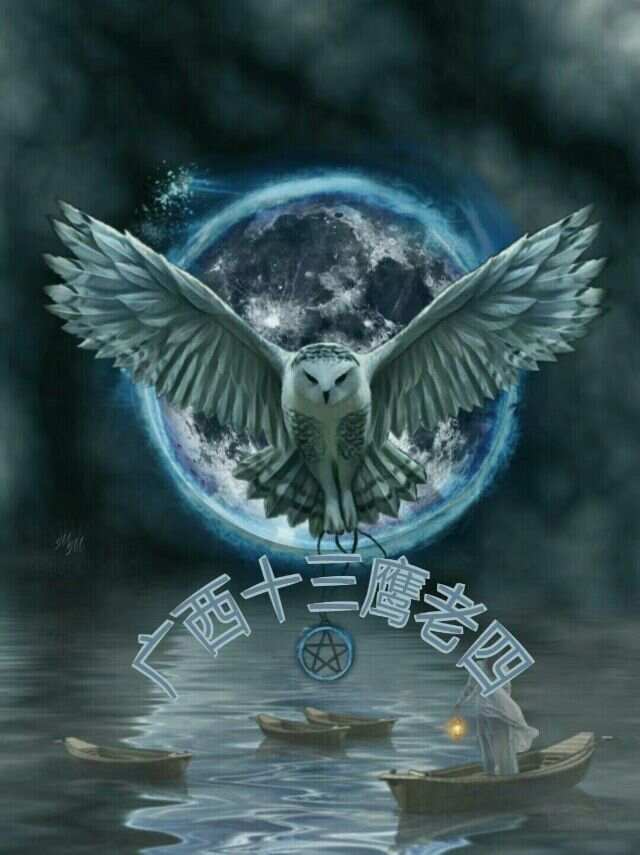 最新十三鷹，完成任務(wù)的詳細(xì)步驟指南與技能學(xué)習(xí)指南