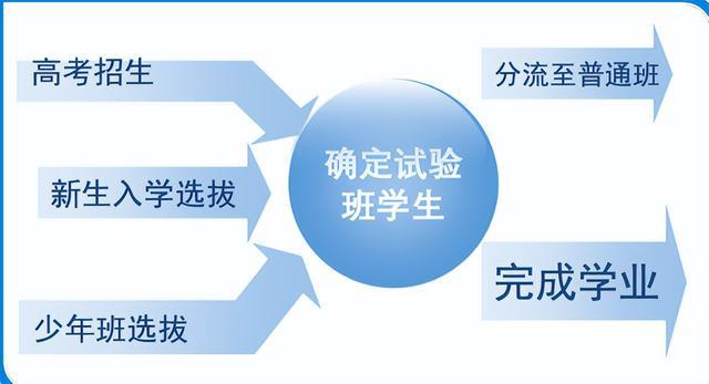 學(xué)習(xí)之路的自信與成就之旅的最新成果圖片展示