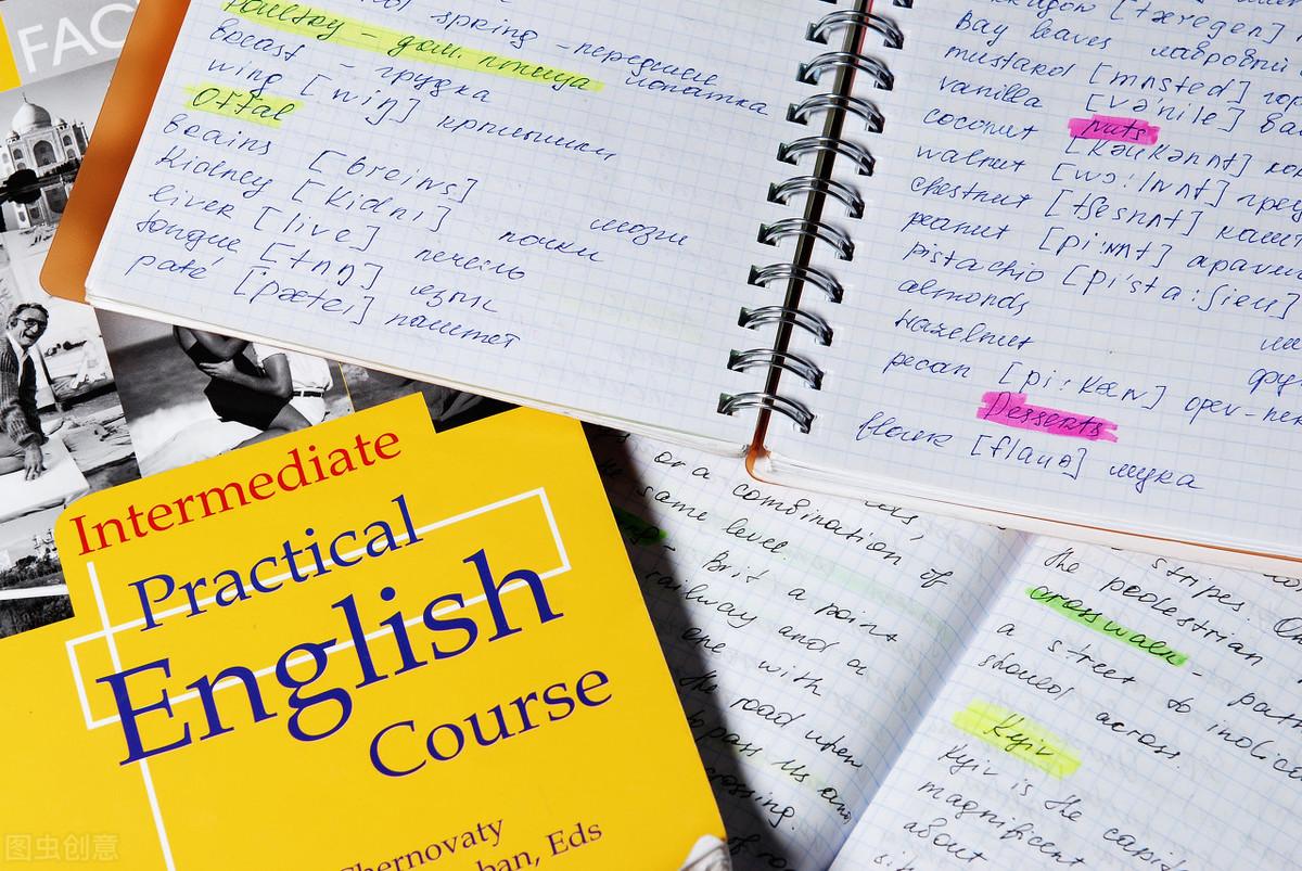 最新中招英語論述解析與探討