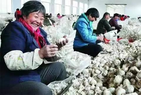 最新黑蒜，自然探險之旅，探尋內(nèi)心平和與寧靜的旅程
