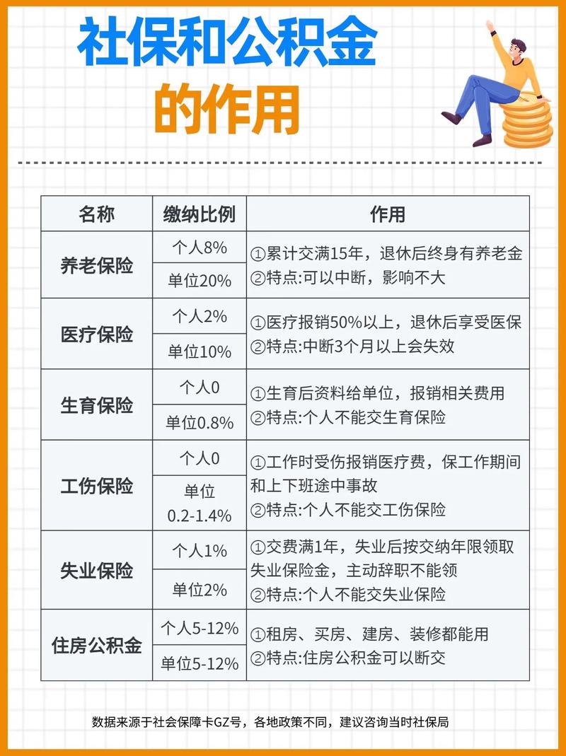 社保最新介紹，邁向未來的保障與力量之舟
