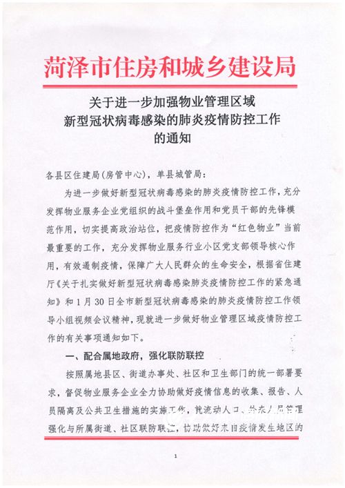 菏澤科技新品亮相，引領未來生活新潮流