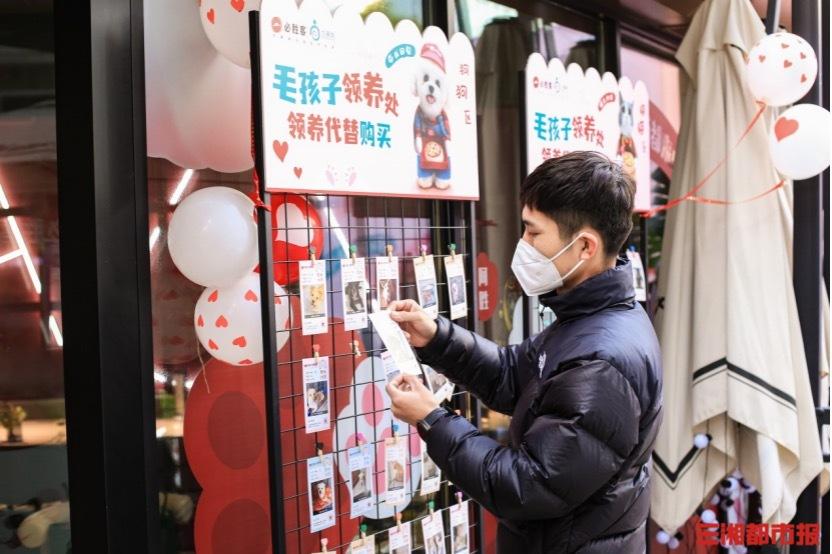 萌店最新現(xiàn)象，興起、影響及未來前景探析