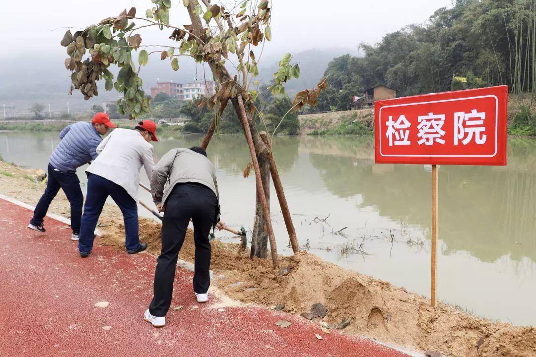 探索現(xiàn)代燕窩文化獨特魅力的巧燕最新風(fēng)采