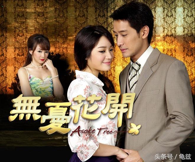 無(wú)言花泰劇深度解析，魅力與爭(zhēng)議并存
