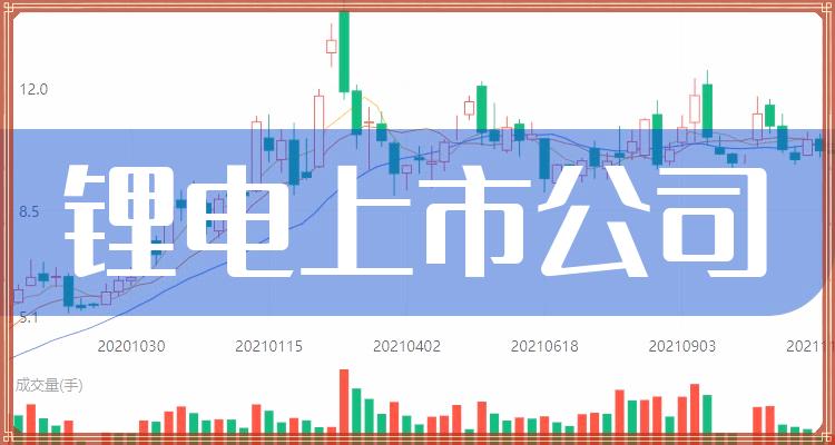 鋰電池行業(yè)領軍企業(yè)及上市公司探析