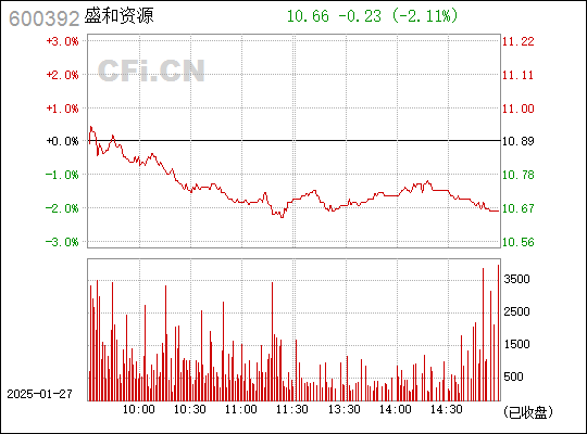 深度解析盛和資源股票（代碼，600392），投資亮點與挑戰(zhàn)并存