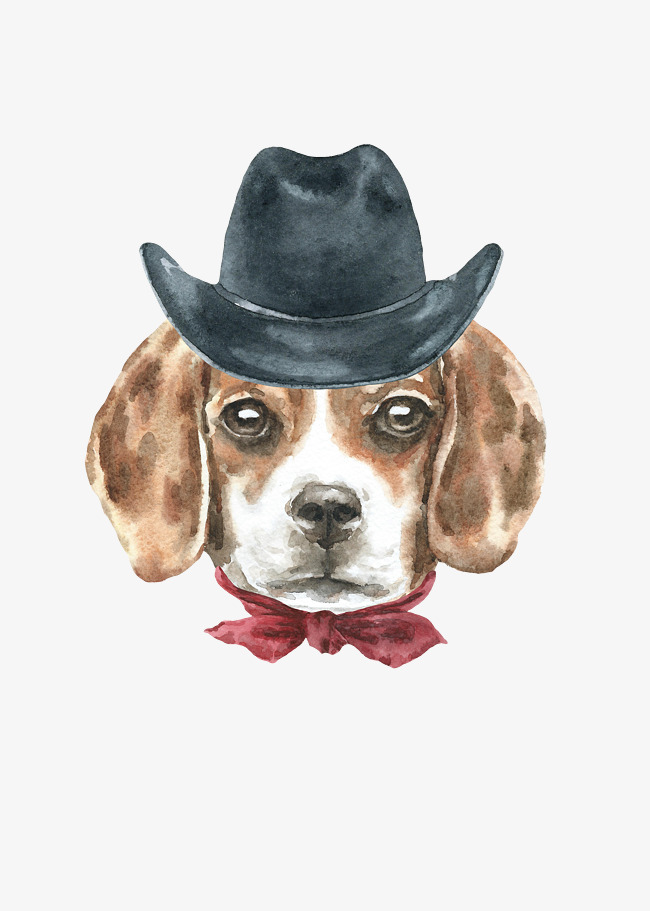 犬界新紀(jì)元，前沿科技與狗的動漫產(chǎn)品介紹
