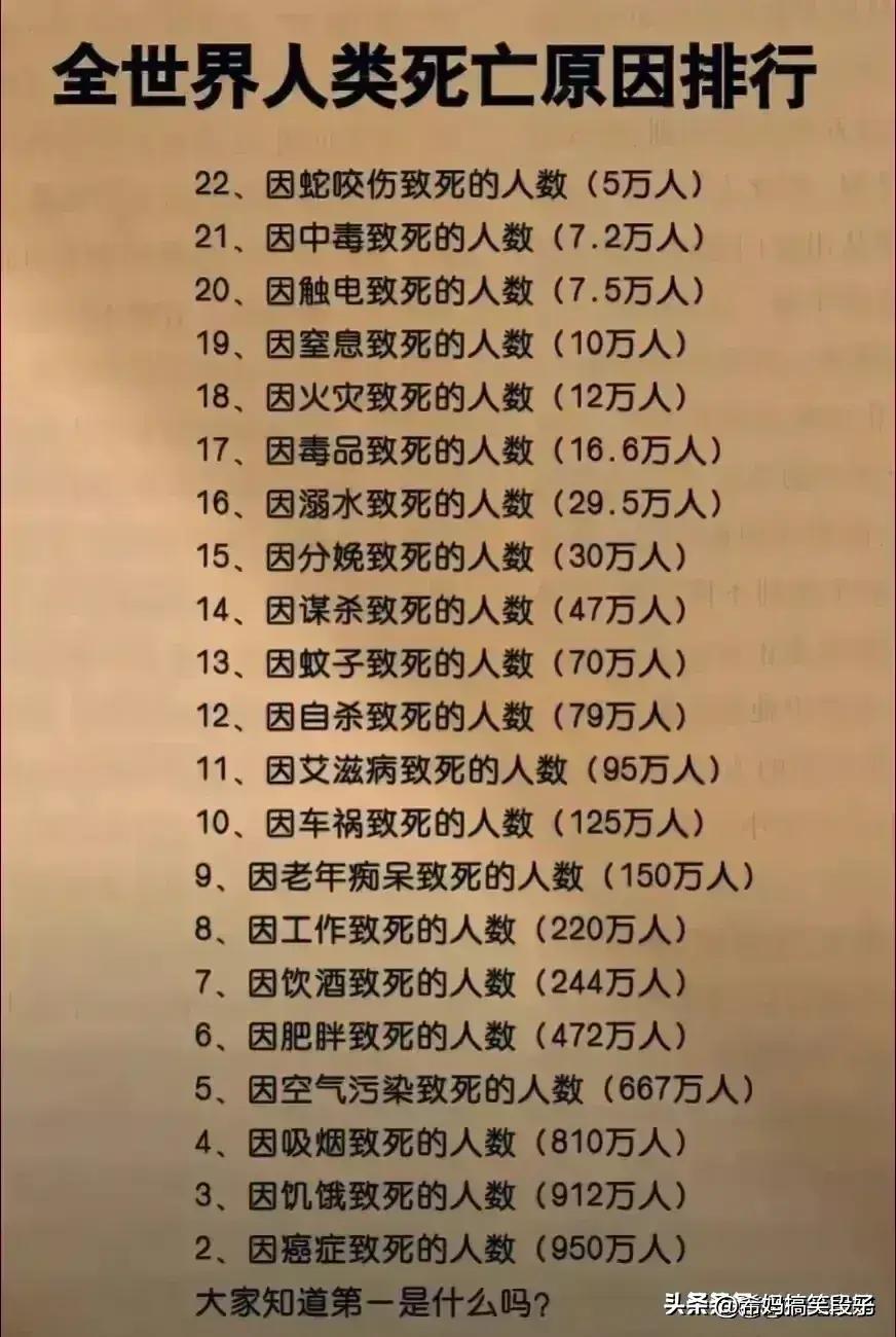 中國最大姓氏最新排名揭秘，巷弄深處的神秘小店探索