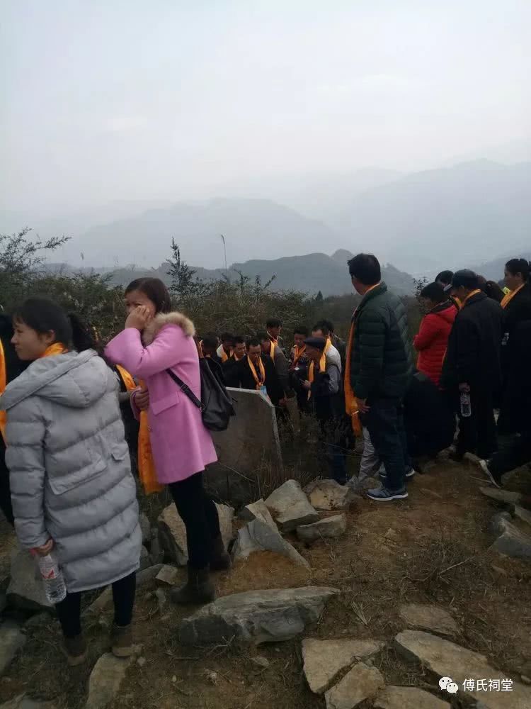 遵義縣山盆鎮(zhèn)最新動(dòng)態(tài)，發(fā)展更新與綠意盎然共融