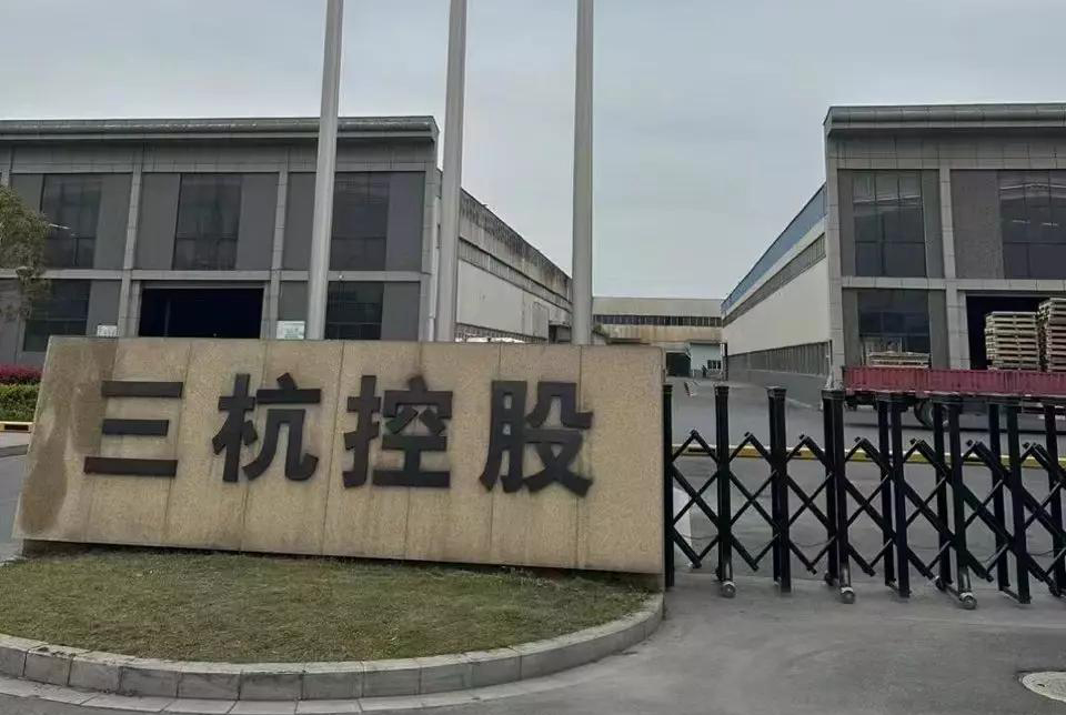 杭州三三集團最新動態(tài)，心靈與自然的美妙之旅啟幕！