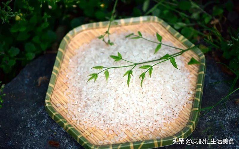 熱門兒歌變遷概覽，最新排名與影響分析