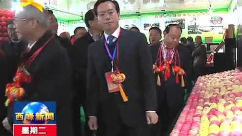 西峰新聞視頻最新更新，領略風采，掌握時事動態(tài)