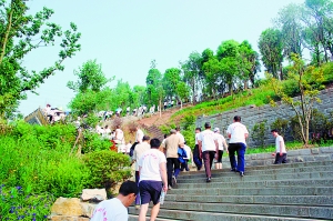 登道最新動態(tài)，自信閃耀，一路向前邁進