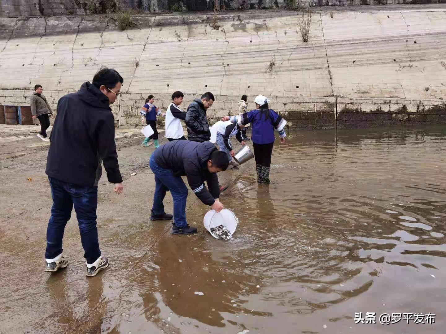 羅平最新房，科技重塑居住未來(lái)，引領(lǐng)潮流居住體驗(yàn)