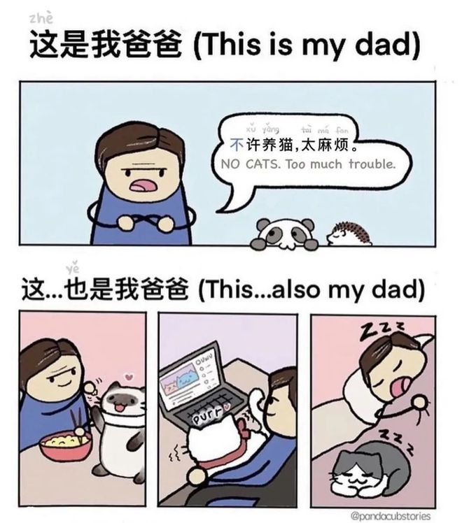 Linda漫畫最新，變化的力量，自信與成就感的源泉啟航