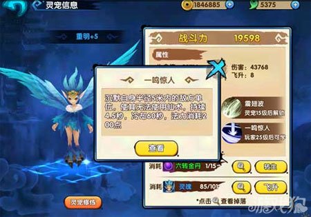 最新靈寵搭配步驟指南與攻略分享