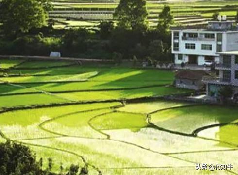 最新小本投資項目深度探討，投資機遇與挑戰(zhàn)并存