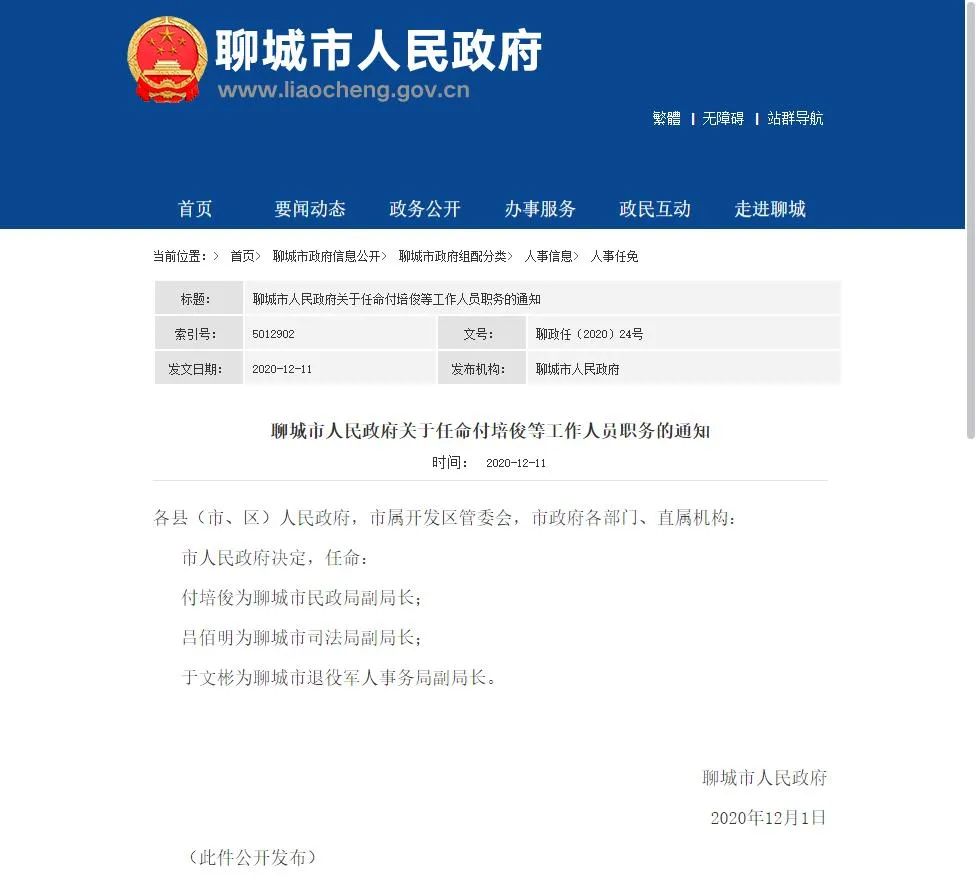 最新聊城人事任免，重塑團(tuán)隊(duì)，展望未來(lái)