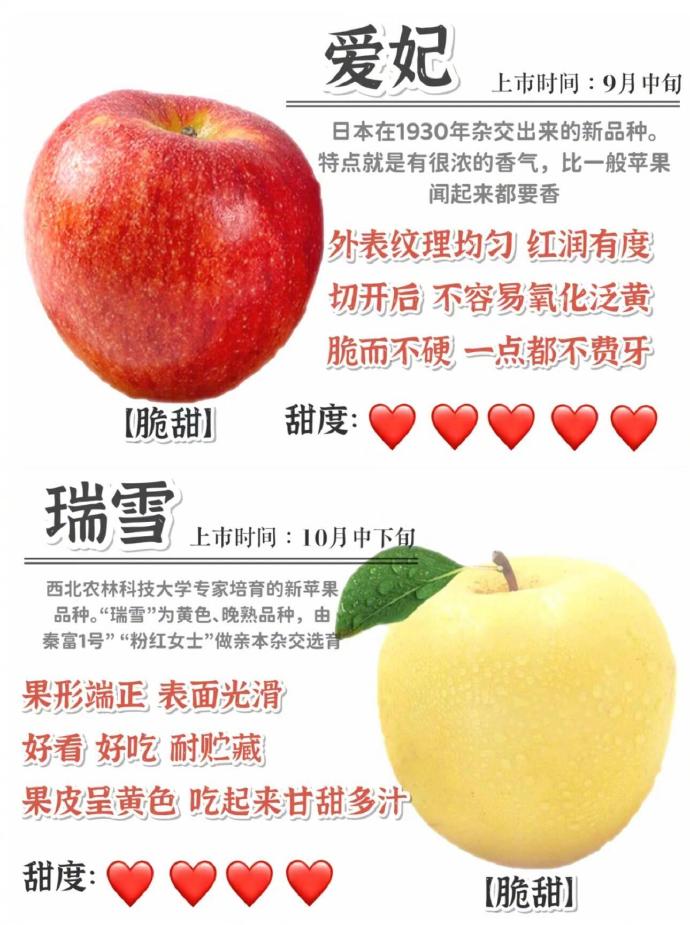 獨(dú)家揭秘，最新蘋(píng)果品種一覽，讓你一飽眼福的蘋(píng)果盛宴！