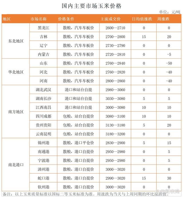 朝陽玉米最新價格，一段友情的溫馨陪伴故事