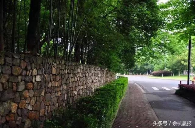 閑林最新規(guī)劃，家的溫馨與友情的交織紐帶