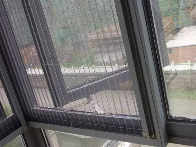 紗窗最新招聘信息，探尋小巷獨(dú)特小店的招聘之旅