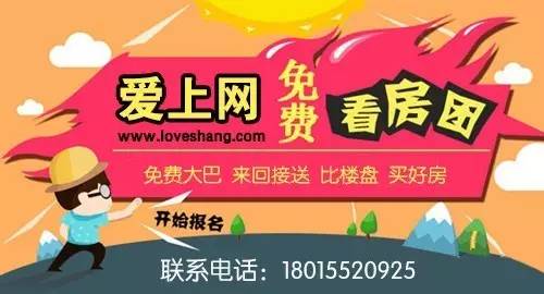 江蘇最新司機(jī)招聘，科技引領(lǐng)，駕馭未來之旅