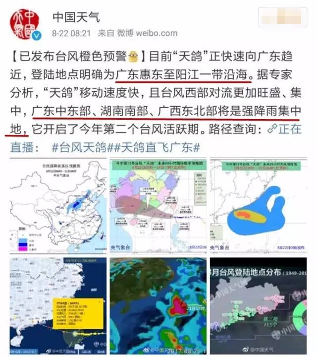 臺風(fēng)天鴿最新動(dòng)態(tài)，逆風(fēng)翱翔，展現(xiàn)學(xué)習(xí)中的自信與成就之光